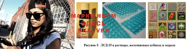сатива Нефтекумск