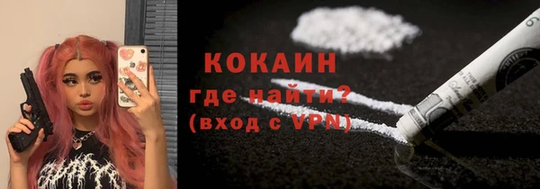 твердый Дмитриев