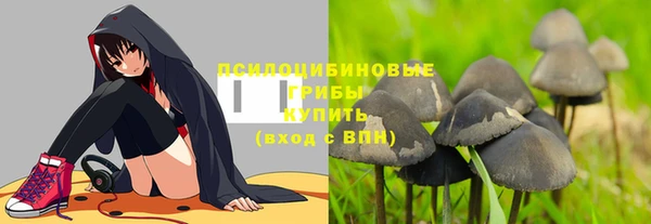 СК Нея
